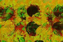 Glitch art on sunflowers by susanna mattioda