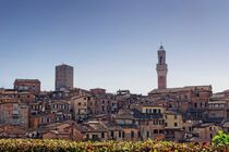 Die Altstadt von Siena in der Toskana von Berthold Werner