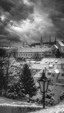 Winter in Prague by Tomas Gregor