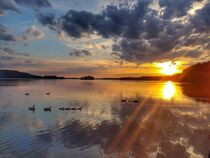 Sonnenuntergang mit Entenfamilie am Dieksee in Schleswig - Holstein von ralf werner froelich
