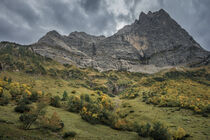 Maple trees in front of mountains of Karwendel at Ahornboden in Austria Tyrol during autumn by Bastian Linder