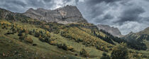 Panorama of maple trees in front of mountains of Karwendel at Ahornboden in Austria Tyrol during autumn by Bastian Linder