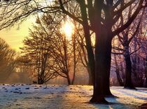 Frostmorgen by Edgar Schermaul