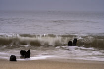 Langzeitbelichtung von Wellen an der Nordsee by Stephan Zaun