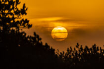 Sonnenaufgang auf Sylt von Stephan Zaun