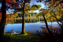 Autumn by Lake  by milan-mkm