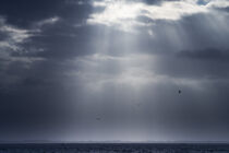 Lichtstimmung an der Nordsee von Stephan Zaun