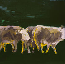 Kühe auf der Weide by Thomas Neumann