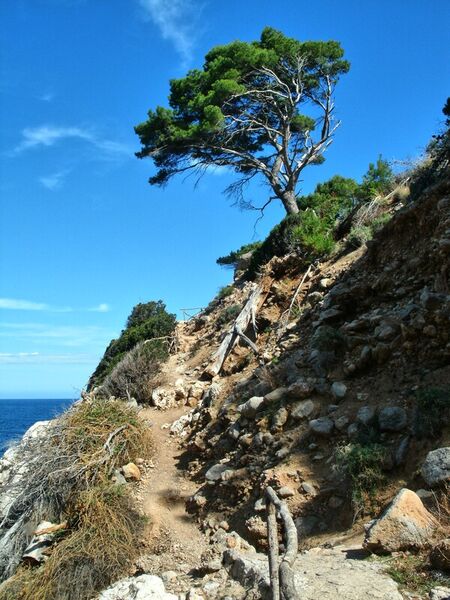 Mallorcas-karge-landschaft