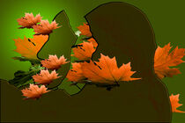 hinter Blättern in orange by alana