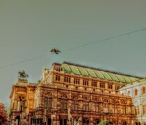 Vienna State Opera by tzina