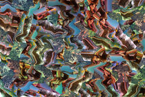 Digitalization from Henri Rousseau's paintings