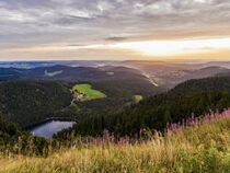 Blick vom Feldberg im Schwarzwald über den Hochschwarzwald by dieterich-fotografie