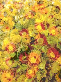 'Sunflowers in Exuberance' von Juergen Seidt