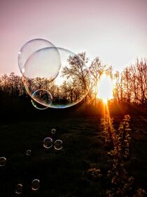 Bubbles in the Evening Light by tzina