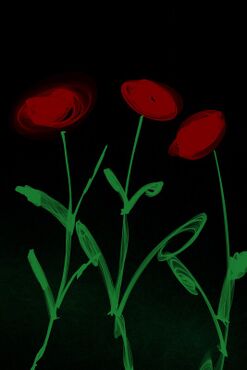 Flowers-red-220123-flameartwork