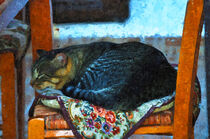 Schlafende Katz auch Stuhl mit buntem Kissen. Gemalt. von havelmomente