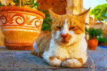 Rot weiße Katze ruht sich aus. Griechenland. Gemalt. by havelmomente