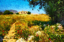 Landschaft auf Kreta. Mohnblumen am Feldweg. Gemalt. von havelmomente