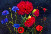 Rote Mohnblüten und blaue Kornblume vor schwarzem Hintergrund. Gemalt. von havelmomente