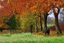 Herbstspaziergang by Edgar Schermaul
