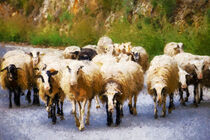 Herde Schafe auf der Straße auf Insel Kreta. Gemalt. by havelmomente