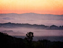 Foothills of the Smoky Mountains von Phil Perkins