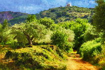 Weg durch den Olivenhain. Insel Kreta. Gemalt. von havelmomente