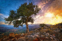 Sonnenuntergang auf Kreta. Olivenbaum in Vordergrund. Gemalt. von havelmomente