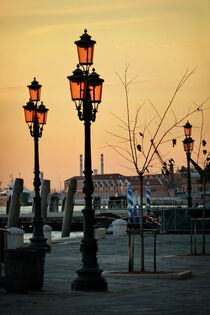 Venice golden hour von Chris R. Hasenbichler