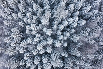 Luftbild Schwarzwald im Winter by dieterich-fotografie