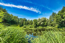 Beautiful lake on bright summer day von Claudia Schmidt
