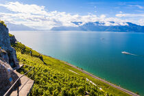 Weinbaugebiet Lavaux am Genfer See in der Schweiz by dieterich-fotografie