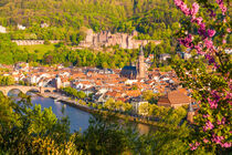 Heidelberg mit dem Schloss und der Altstadt im Frühling by dieterich-fotografie