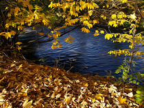 'Autumn by River ' von milan-mkm