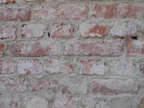 Vom Putz befreites Mauerwerk aus Ziegelsteinen von Heike Rau