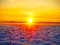 Sonnenuntergang am Niederrhein im Schnee von Susanne Winkels