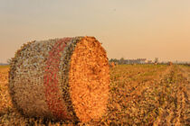 PIXEL ART on a hay cylindrical bale in a farmland by susanna mattioda