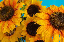 PIXEL ART on sunflowers