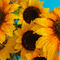Pixel-art-close-up-of-flowered-sunflowersimg-8511