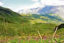 Almblick in der Schweiz am Grindelwald-First von Susanne Winkels