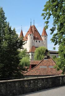 Schloss Thun in der Schweiz von Susanne Winkels