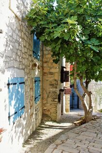 Mediterrane Altstadtgasse mit blauen Fensterläden von Susanne Winkels