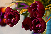 Tulpen in Öl von Petra Dreiling-Schewe