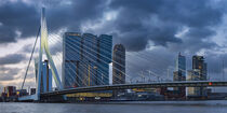 Rotterdam by Walter G. Allgöwer