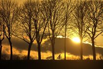 Radfahrer bei Sonnenuntergang von Edgar Schermaul