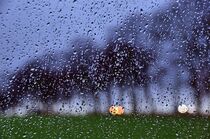 Regenschauertropfen von Edgar Schermaul