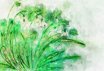Schneeglöckchen in Aquarell Malerei. Gemalt. Frühlingsblüher. von havelmomente