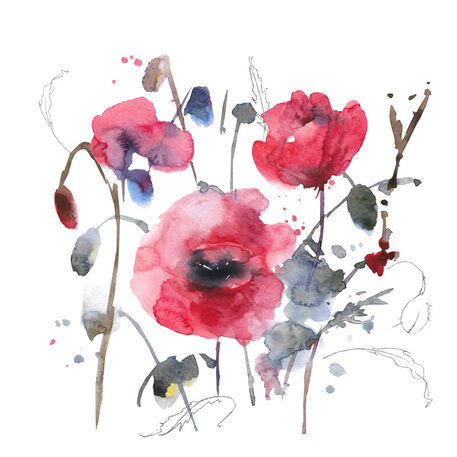 Red-watercolor-poppies-with-leaves-white-background-hand-draw-working