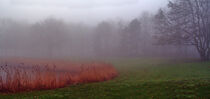 Nebelpanorama von Edgar Schermaul